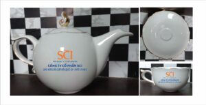 Store sci